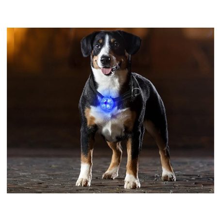 Svítící přívěsek LED na obojek