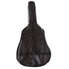 6-strunná akustická kytara - hnědá (3TS-GF) s dárkovou taškou