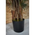 Virginia mimořádně krásná palma v květináči - 150 cm