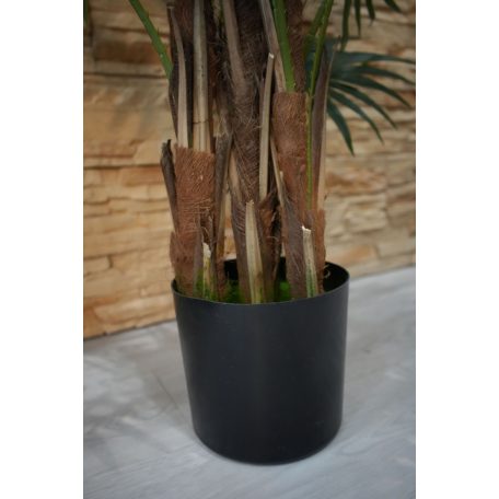 Virginia mimořádně krásná palma v květináči - 150 cm