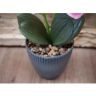 33 cm-ový umělý Phalaenopsis v květináči