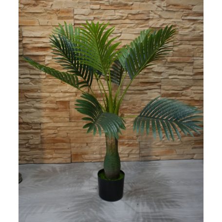 Esperanza výjimečně krásná palma v květináči - 100 cm