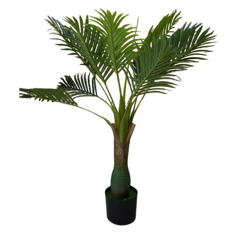 Esperanza výjimečně krásná palma v květináči - 100 cm