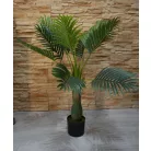 Esperanza výjimečně krásná palma v květináči - 100 cm