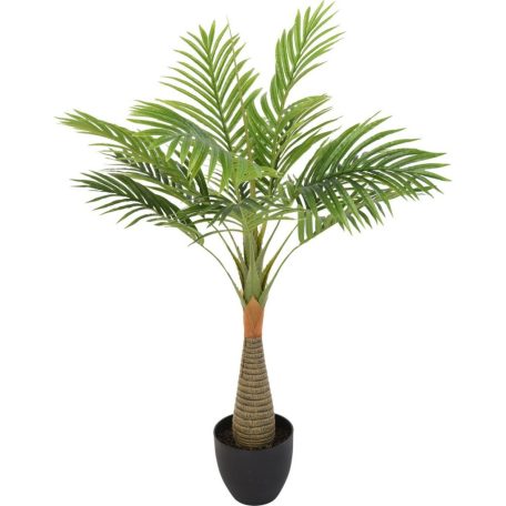 Esperanza výjimečně krásná palma v květináči - 100 cm