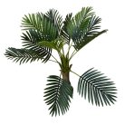 Esperanza výjimečně krásná palma v květináči - 100 cm
