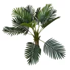 Esperanza výjimečně krásná palma v květináči - 100 cm