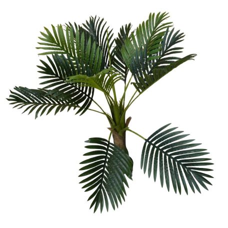 Esperanza výjimečně krásná palma v květináči - 100 cm