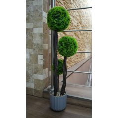   Umělá zimostráz ve tvaru koule s květináčem - 3 kuličková