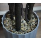 Umělá zimostráz ve tvaru koule s květináčem - 3 kuličková