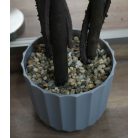 Umělá zimostráz ve tvaru koule s květináčem - 3 kuličková