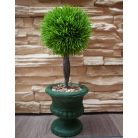 30 cm-vá umělá zimostráz (buxus) v květináči