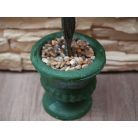 30 cm-vá umělá zimostráz (buxus) v květináči