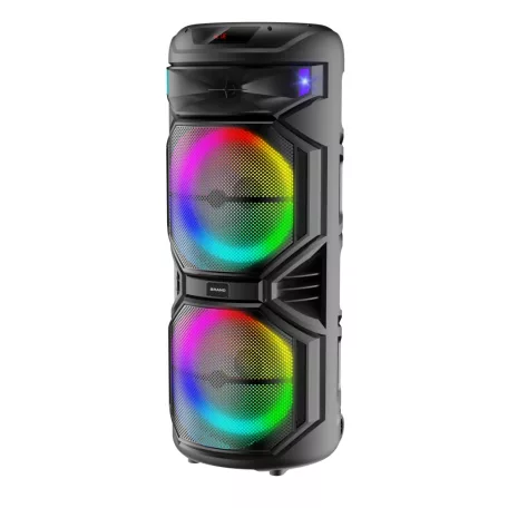 Velký přenosný párty reproduktor se 2 mikrofony a světly - 1000 W PMPO