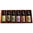 6-dílná sada aromaterapeutických esenciálních olejů - podzim