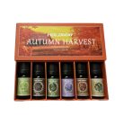 6-dílná sada aromaterapeutických esenciálních olejů - podzim